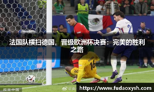 法国队横扫德国，晋级欧洲杯决赛：完美的胜利之路